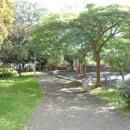 Panoramic View *