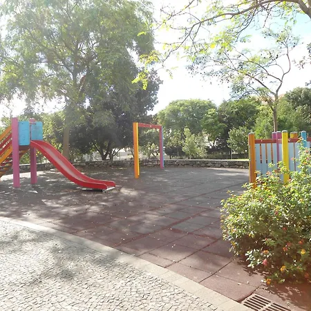 Panoramic View *