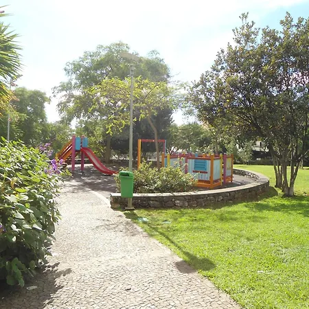 Panoramic View