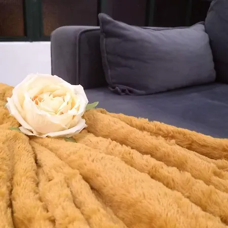 Panoramic View Appartement Funchal (Madeira)