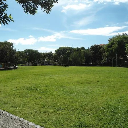 Panoramic View Funchal